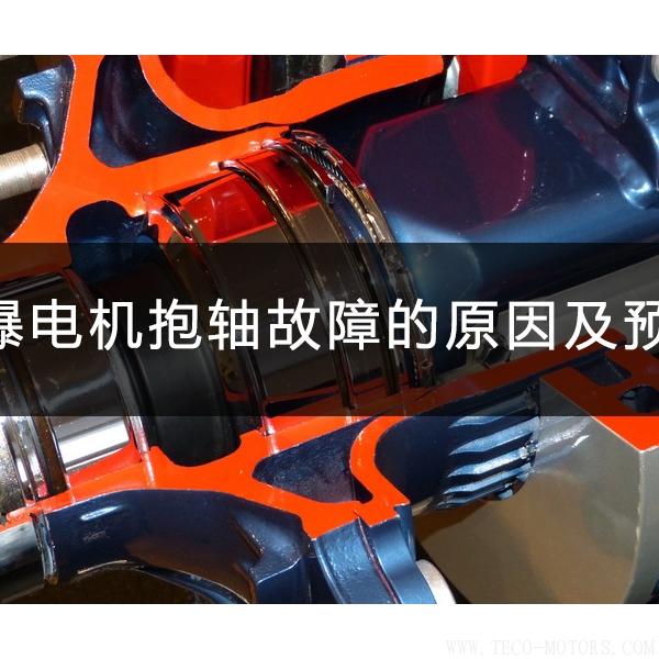 防爆電機抱軸故障的原因及預防