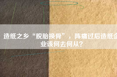 造紙之鄉(xiāng)“脫胎換骨”，陣痛過(guò)后造紙企業(yè)該何去何從？