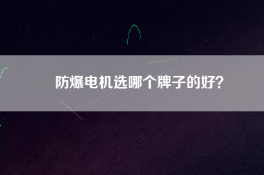 防爆電機選哪個牌子的好？
