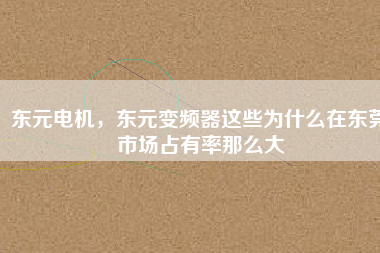 東元電機，東元變頻器這些為什么在東莞市場占有率那么大
