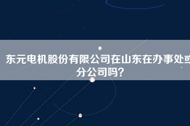 東元電機股份有限公司在山東在辦事處或分公司嗎？