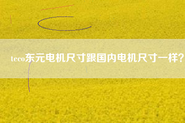 teco東元電機(jī)尺寸跟國內(nèi)電機(jī)尺寸一樣？