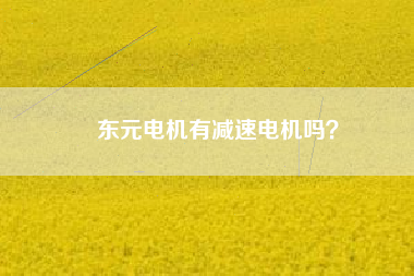 東元電機(jī)有減速電機(jī)嗎？
