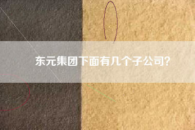 東元集團下面有幾個子公司？