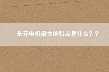 東元電機最大的特點是什么？？