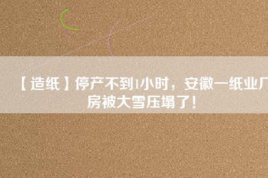 【造紙】停產(chǎn)不到1小時，安徽一紙業(yè)廠房被大雪壓塌了！