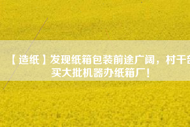 【造紙】發(fā)現(xiàn)紙箱包裝前途廣闊，村干部買大批機器辦紙箱廠！