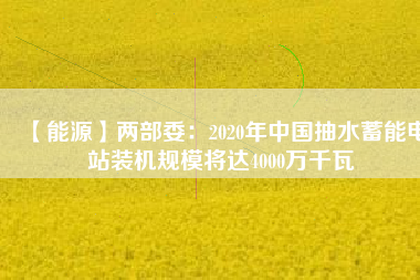【能源】?jī)刹课?020年中國抽水蓄能電站裝機(jī)規(guī)模將達(dá)4000萬千瓦