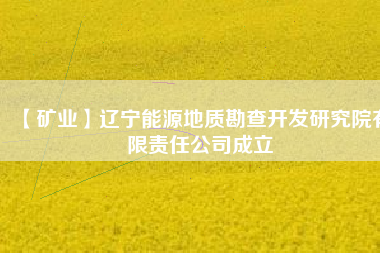 【礦業(yè)】遼寧能源地質勘查開發(fā)研究院有限責任公司成立