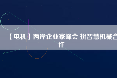 【電機(jī)】?jī)砂镀髽I(yè)家峰會(huì) 拚智慧機(jī)械合作
          