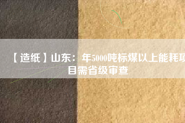 【造紙】山東：年5000噸標(biāo)煤以上能耗項(xiàng)目需省級審查