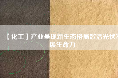 【化工】產業(yè)呈現新生態(tài)格局激活光伏發(fā)展生命力