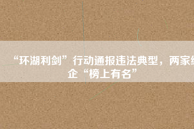 “環(huán)湖利劍”行動通報違法典型，兩家紙企“榜上有名”