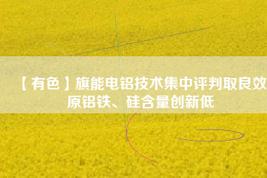 【有色】旗能電鋁技術(shù)集中評(píng)判取良效 原鋁鐵、硅含量創(chuàng)新低