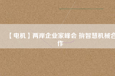 【電機(jī)】?jī)砂镀髽I(yè)家峰會(huì) 拚智慧機(jī)械合作
          