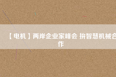 【電機(jī)】?jī)砂镀髽I(yè)家峰會(huì) 拚智慧機(jī)械合作
          