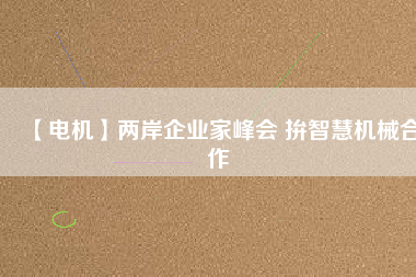 【電機(jī)】?jī)砂镀髽I(yè)家峰會(huì) 拚智慧機(jī)械合作
          