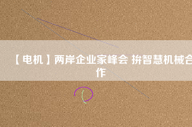 【電機(jī)】?jī)砂镀髽I(yè)家峰會(huì) 拚智慧機(jī)械合作
          