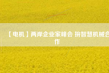 【電機(jī)】?jī)砂镀髽I(yè)家峰會(huì) 拚智慧機(jī)械合作
          