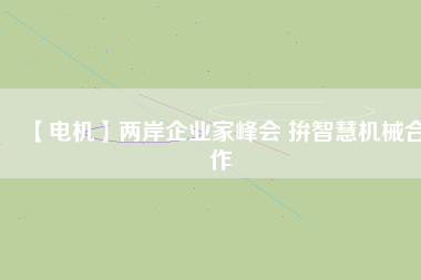 【電機(jī)】?jī)砂镀髽I(yè)家峰會(huì) 拚智慧機(jī)械合作
          