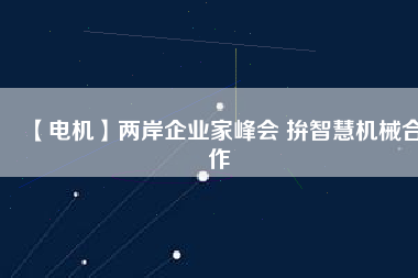 【電機(jī)】?jī)砂镀髽I(yè)家峰會(huì) 拚智慧機(jī)械合作
          