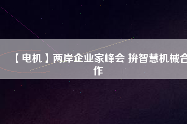 【電機(jī)】?jī)砂镀髽I(yè)家峰會(huì) 拚智慧機(jī)械合作
          