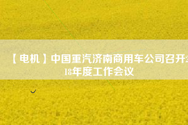【電機(jī)】中國重汽濟(jì)南商用車公司召開2018年度工作會(huì)議
          