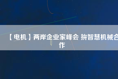 【電機(jī)】?jī)砂镀髽I(yè)家峰會(huì) 拚智慧機(jī)械合作
          