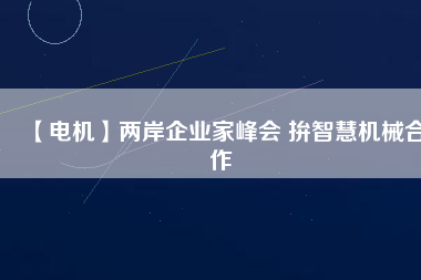 【電機(jī)】?jī)砂镀髽I(yè)家峰會(huì) 拚智慧機(jī)械合作
          