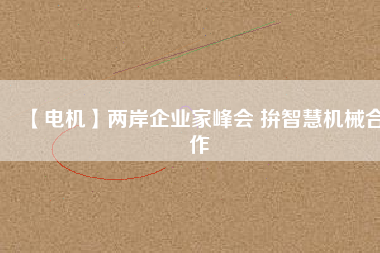 【電機(jī)】?jī)砂镀髽I(yè)家峰會(huì) 拚智慧機(jī)械合作
          