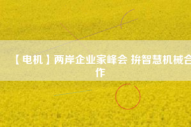 【電機(jī)】?jī)砂镀髽I(yè)家峰會(huì) 拚智慧機(jī)械合作
          