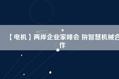 【電機(jī)】?jī)砂镀髽I(yè)家峰會(huì) 拚智慧機(jī)械合作
          