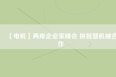 【電機(jī)】?jī)砂镀髽I(yè)家峰會(huì) 拚智慧機(jī)械合作
          