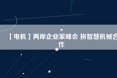【電機(jī)】?jī)砂镀髽I(yè)家峰會(huì) 拚智慧機(jī)械合作
          