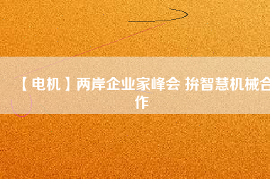 【電機(jī)】?jī)砂镀髽I(yè)家峰會(huì) 拚智慧機(jī)械合作
          