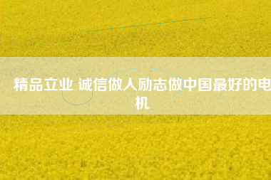 精品立業(yè) 誠(chéng)信做人勵(lì)志做中國(guó)最好的電機(jī)
          