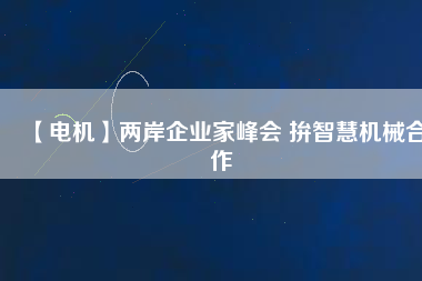 【電機(jī)】?jī)砂镀髽I(yè)家峰會(huì) 拚智慧機(jī)械合作
          