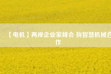 【電機(jī)】?jī)砂镀髽I(yè)家峰會(huì) 拚智慧機(jī)械合作
          