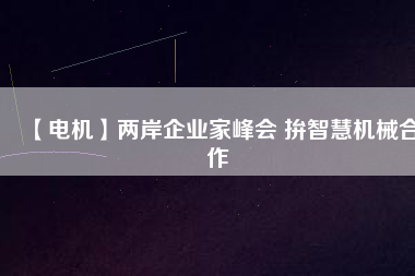 【電機(jī)】?jī)砂镀髽I(yè)家峰會(huì) 拚智慧機(jī)械合作
          