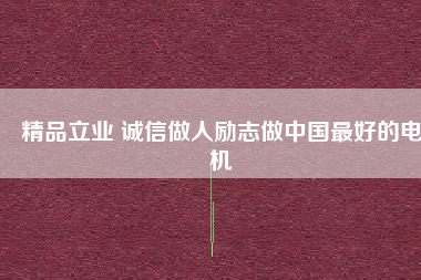 精品立業(yè) 誠(chéng)信做人勵(lì)志做中國(guó)最好的電機(jī)
          