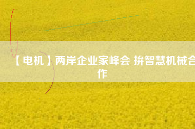 【電機(jī)】?jī)砂镀髽I(yè)家峰會(huì) 拚智慧機(jī)械合作
          