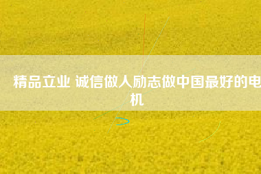 精品立業(yè) 誠(chéng)信做人勵(lì)志做中國(guó)最好的電機(jī)
          