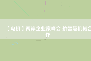 【電機(jī)】?jī)砂镀髽I(yè)家峰會(huì) 拚智慧機(jī)械合作
          