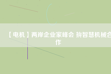 【電機(jī)】?jī)砂镀髽I(yè)家峰會(huì) 拚智慧機(jī)械合作
          