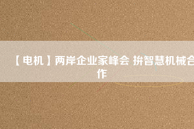 【電機(jī)】?jī)砂镀髽I(yè)家峰會(huì) 拚智慧機(jī)械合作
          