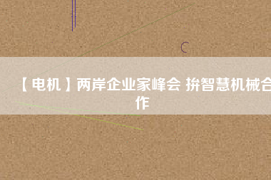 【電機(jī)】?jī)砂镀髽I(yè)家峰會(huì) 拚智慧機(jī)械合作
          