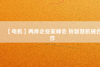【電機(jī)】?jī)砂镀髽I(yè)家峰會(huì) 拚智慧機(jī)械合作
          