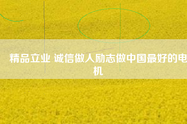 精品立業(yè) 誠(chéng)信做人勵(lì)志做中國(guó)最好的電機(jī)
          