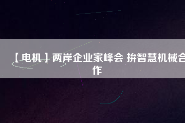 【電機(jī)】?jī)砂镀髽I(yè)家峰會(huì) 拚智慧機(jī)械合作
          
