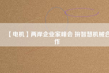 【電機(jī)】?jī)砂镀髽I(yè)家峰會(huì) 拚智慧機(jī)械合作
          